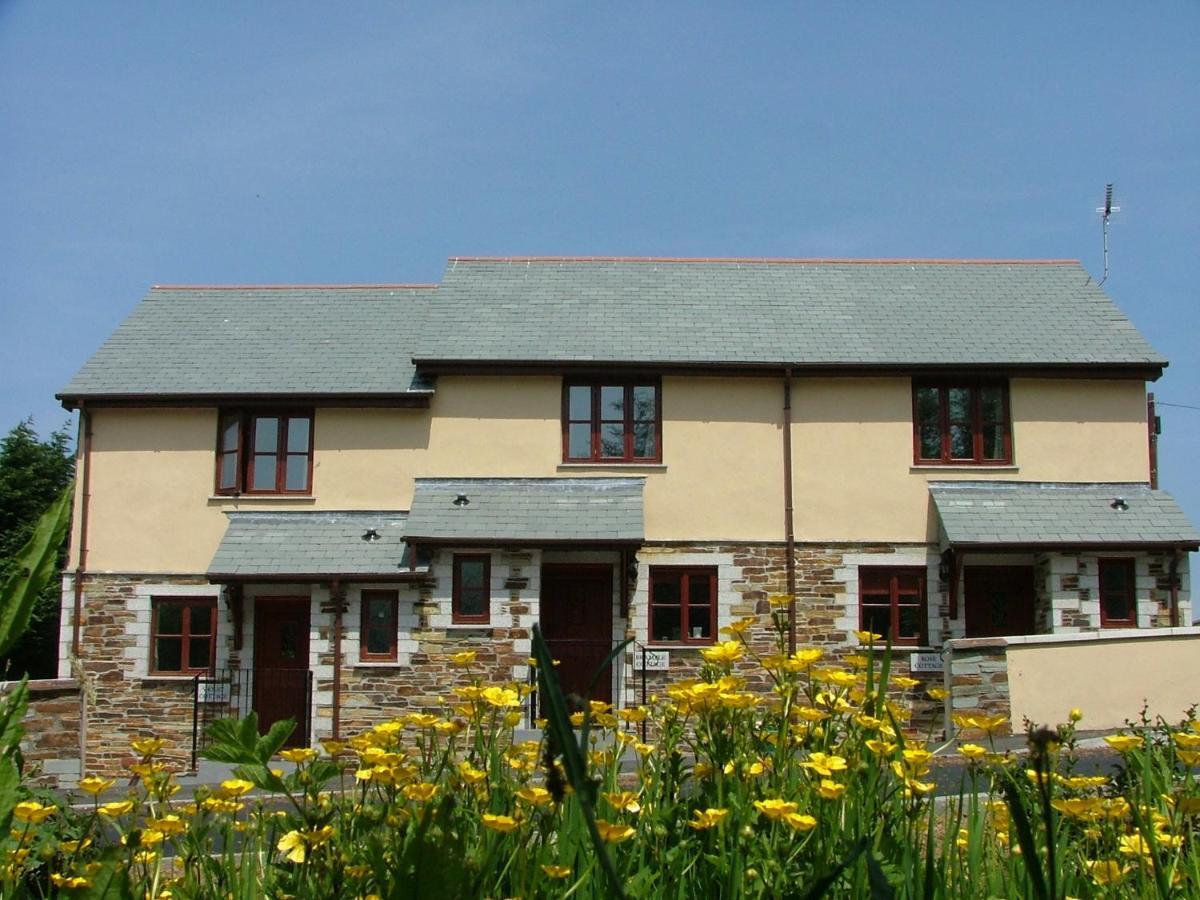 קמלפורד Rose Cottage מראה חיצוני תמונה